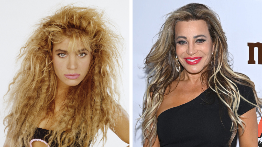Side-by-side of Taylor Dayne then and now