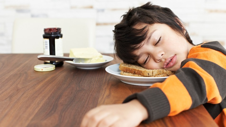 boy who fell asleep in a plate of toast