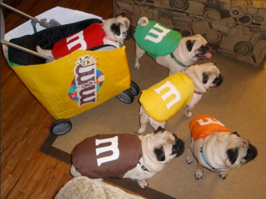 funny dog costumes
