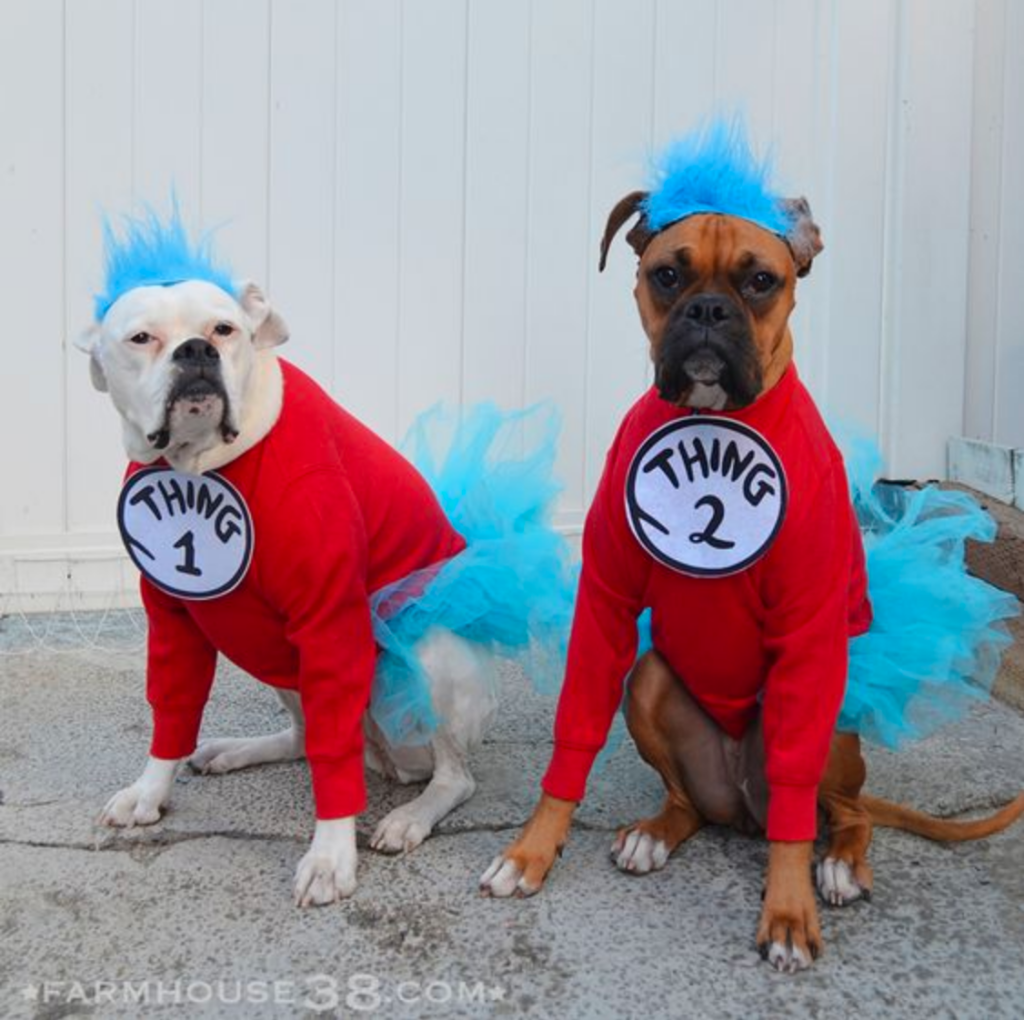 14 Adorable Dogs Dressed Up In Hilarious Halloween Costumes - First For  Women