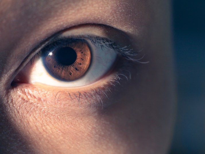 Uitstekend palm accu Eyes With Limbal Rings Are More Attractive, Study Finds