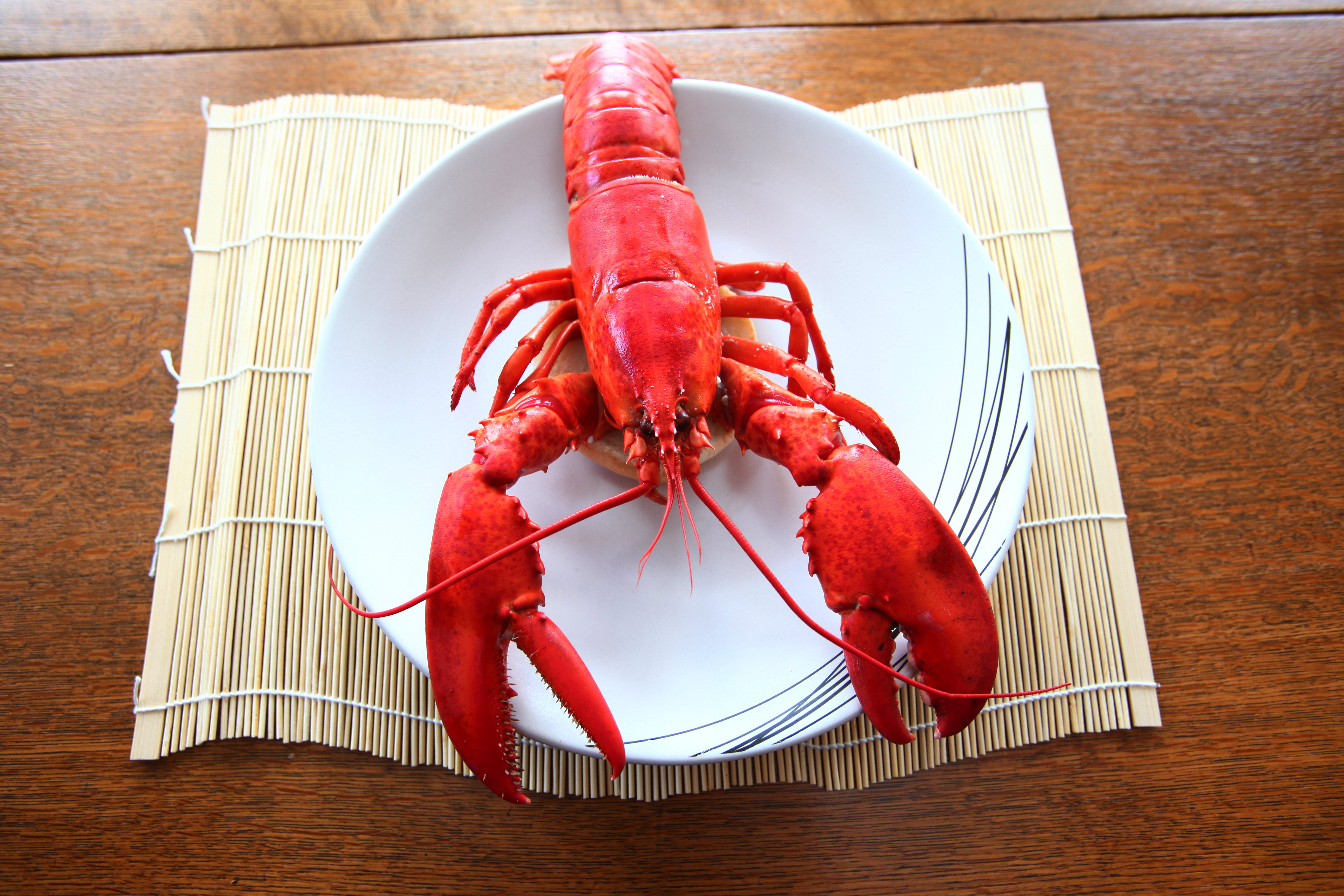 I Tried Red Lobster Delivery Service And I M So Full [ 3744 x 5616 Pixel ]
