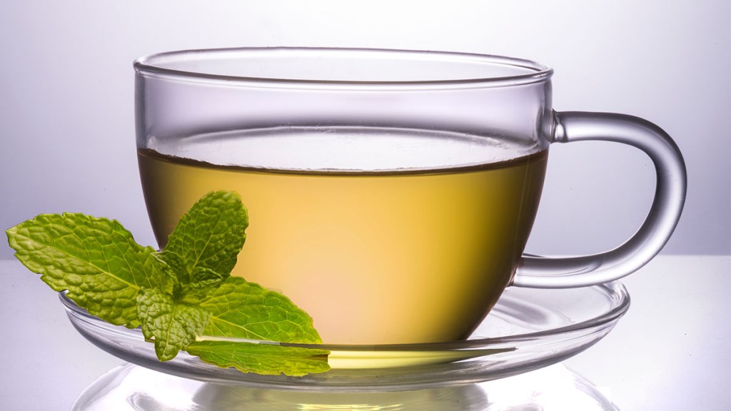 green tea to make kombucha