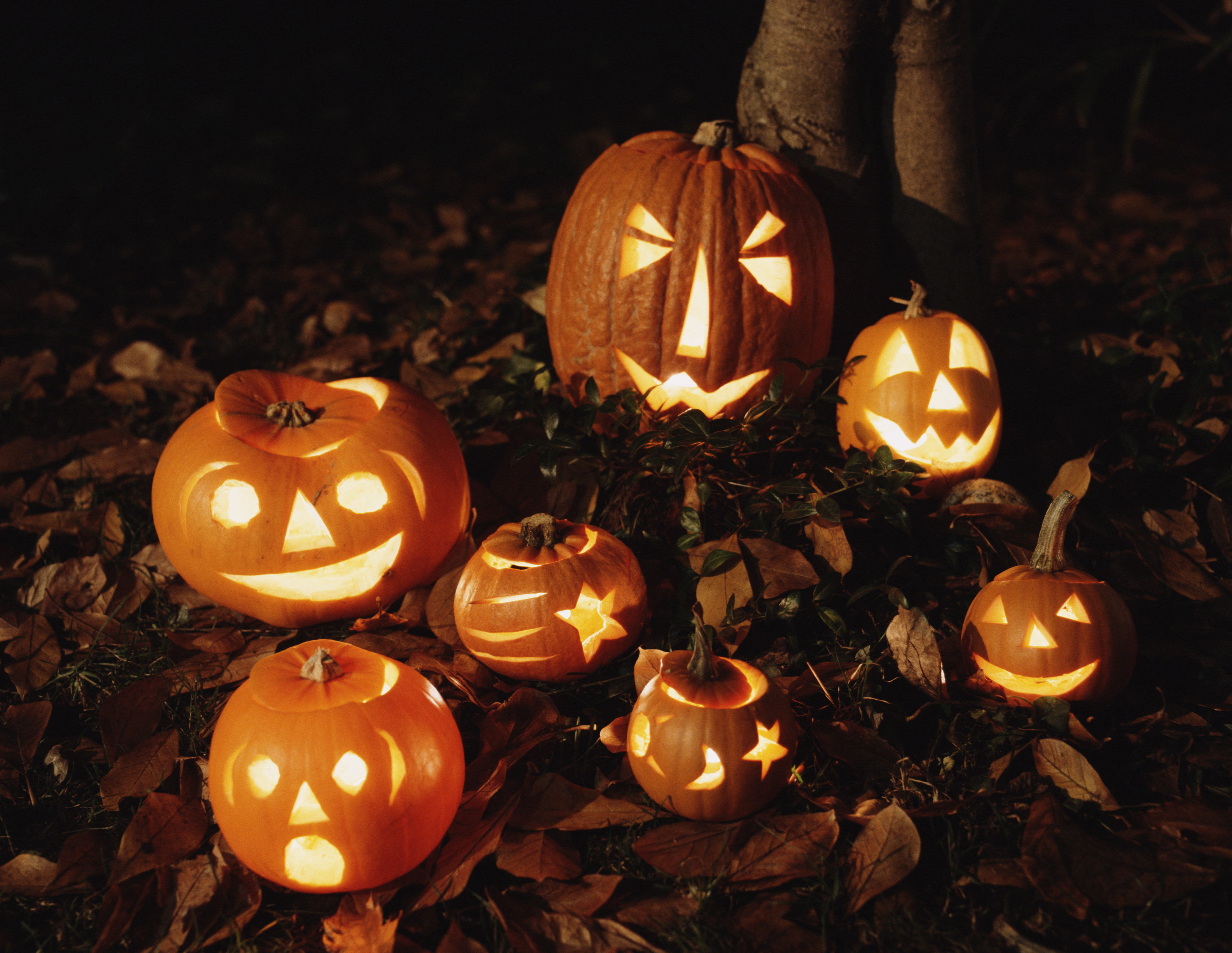 How Long Do Carved Pumpkins Last Before They Rot?