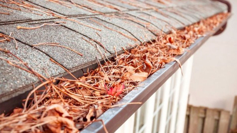 gutters filled with leaves and debris