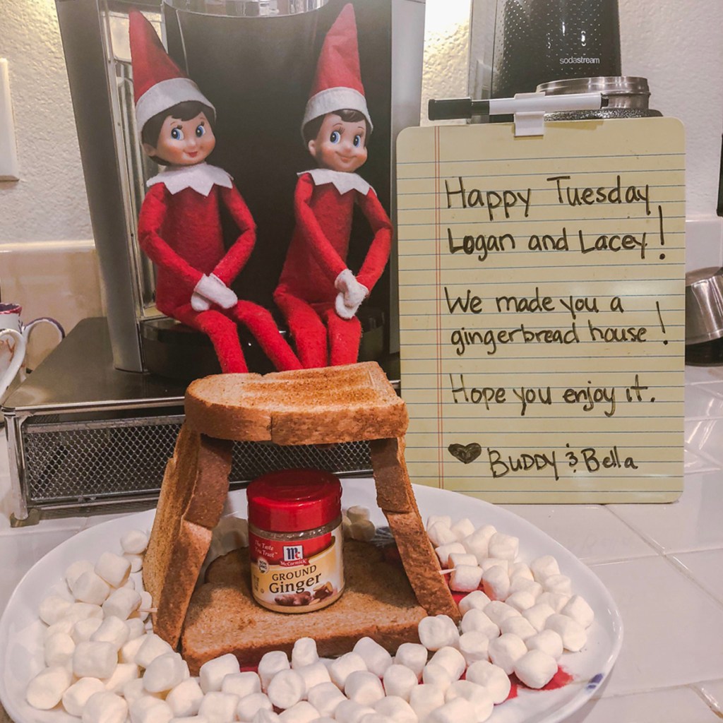 The Best Elf on the Shelf Ideas From Around the Internet
