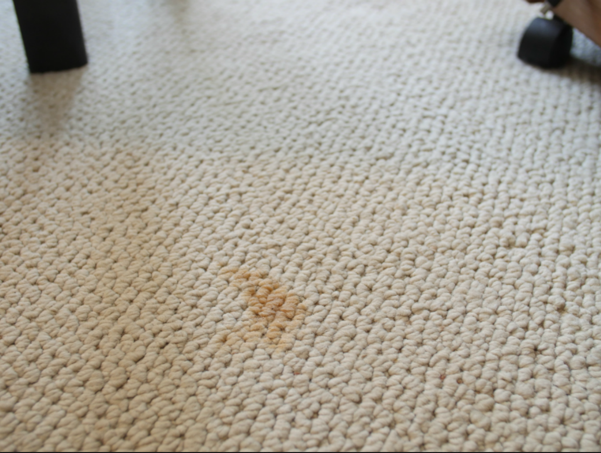 How to Deep Clean Carpet Without a Machine | First For Women