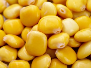 what-are-lupin-beans-benefits-162711