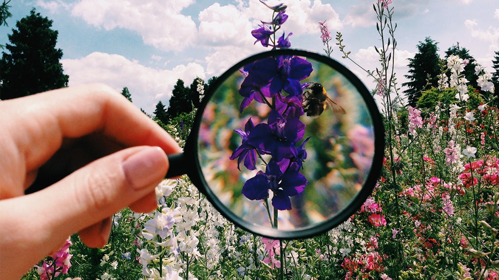 magnifying glass zooming in on flowers; caregiver burnout