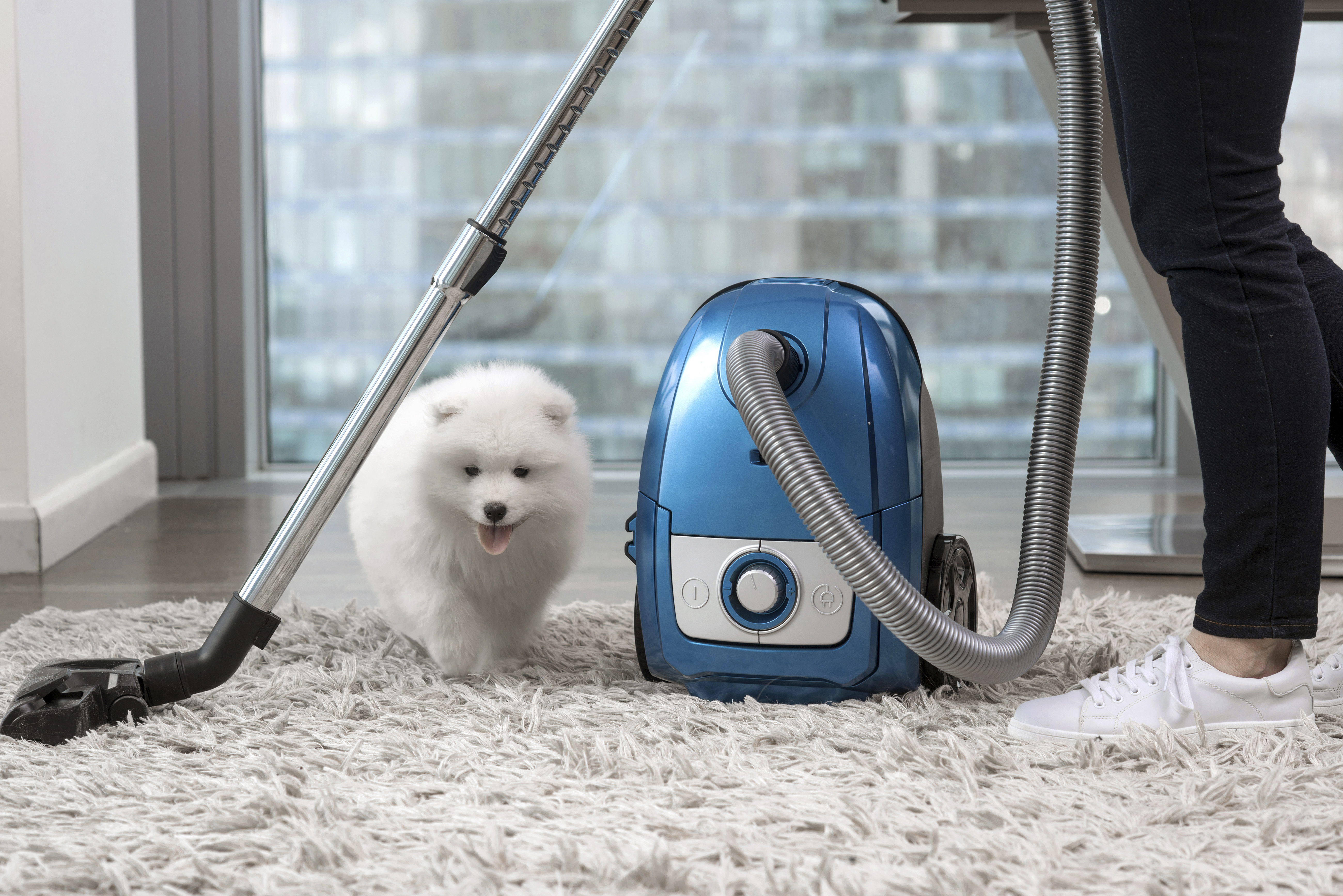 20 Best Vacuum Cleaners For Pet Hair On Hardwood Or Carpet