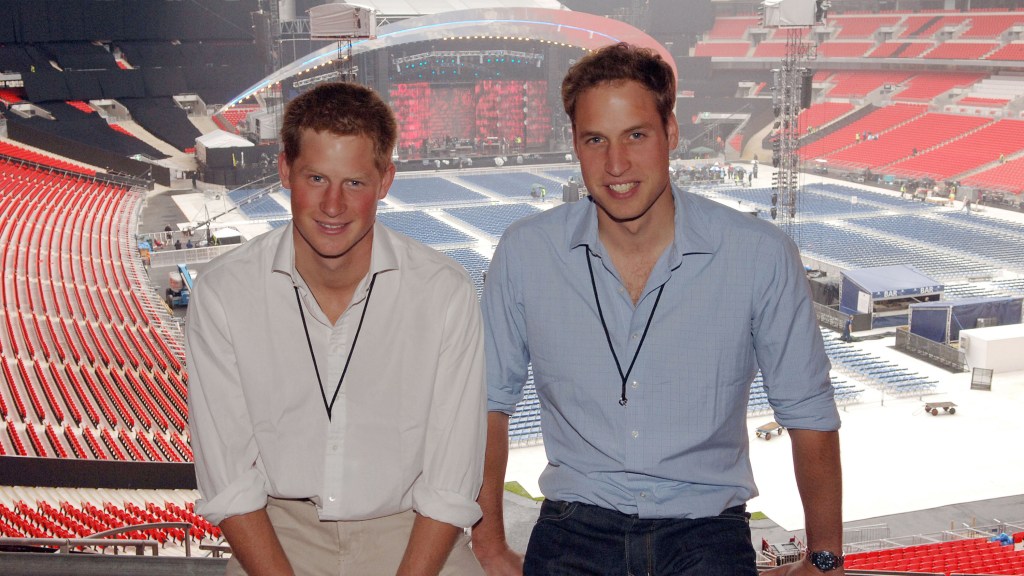Prince Harry and Prince William at the Concert for Diana