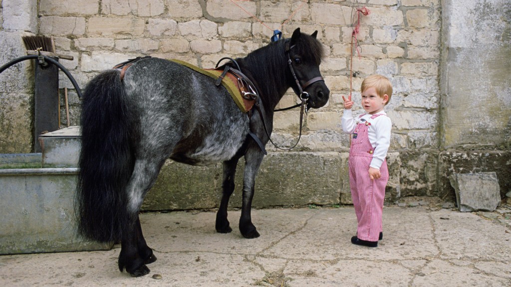 Toddler Prince Harry with a small horse