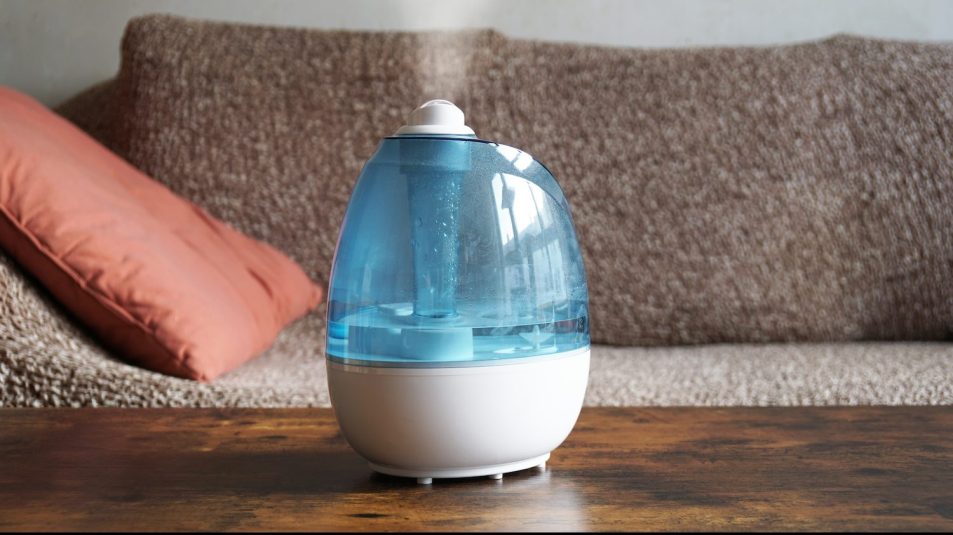 The Best Whole House Humidifier You Need This Winter