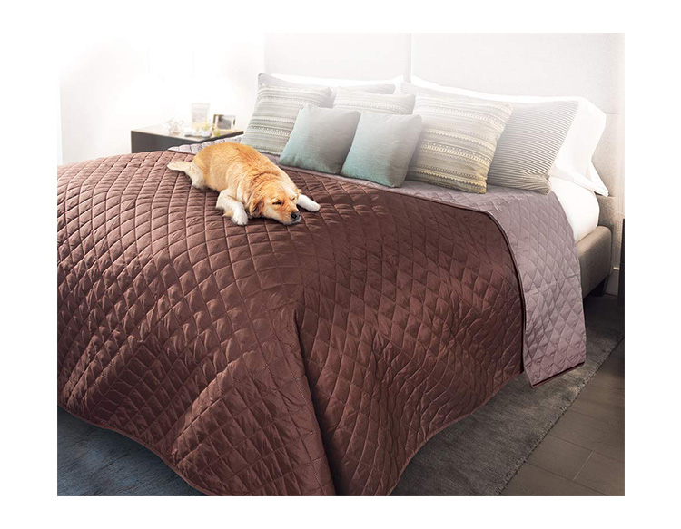 11 Best Comforters For Dog Hair That Are Pet-Friendly