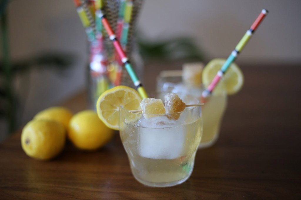 kombucha cocktail with lemon