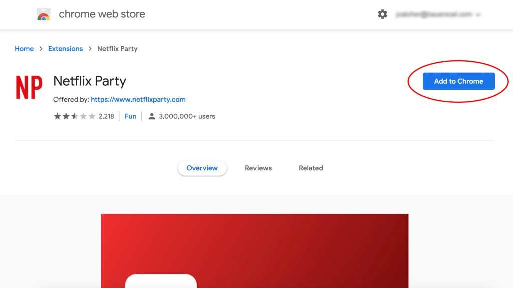 Screenshot of Netflix Party on Chrome Web Store
