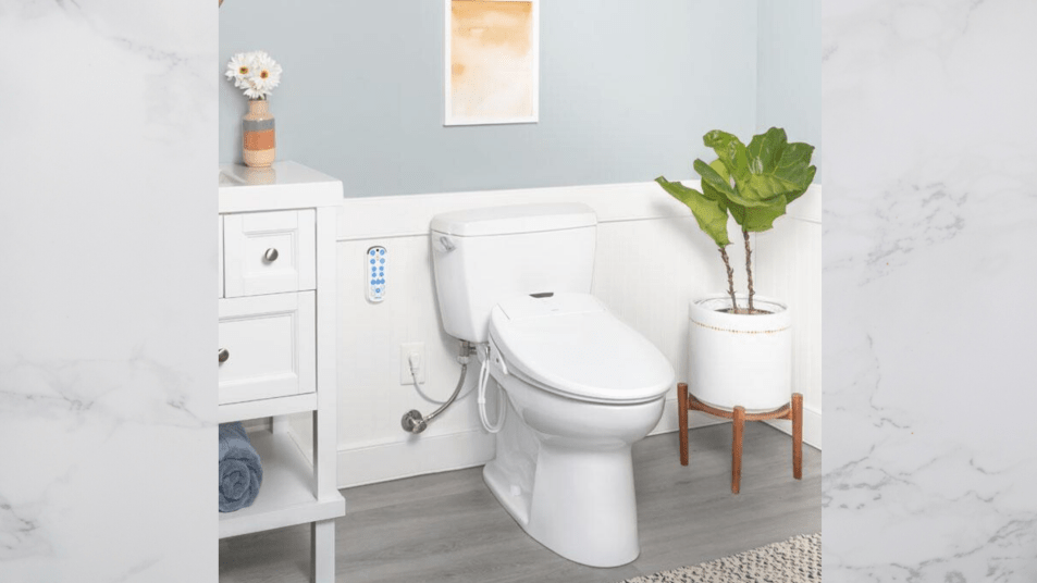 bathroom featuring a bidet toilet seat
