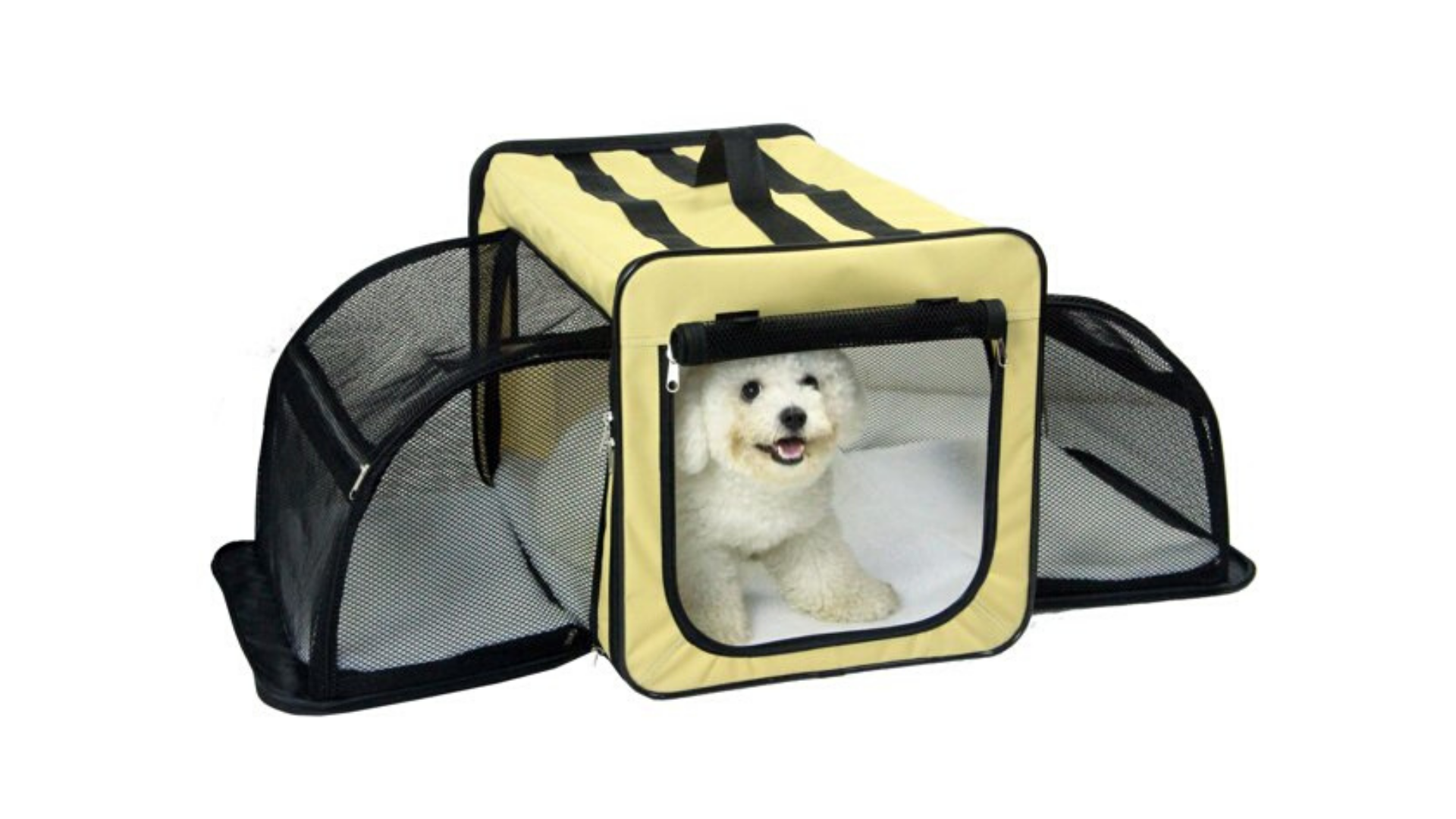 walmart dog crate