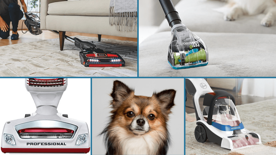 13 Best Vacuum Cleaners For Pet Hair On, What S The Best Vacuum For Hardwood Floors And Pet Hair