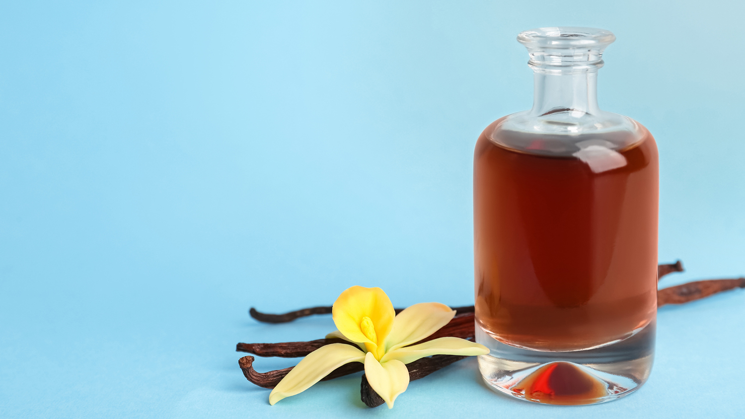  Vanilla Premium Grade Fragrance Oil - 10ml - Scented Oil :  Health & Household
