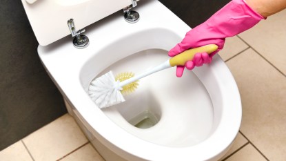 Hand in pink glove holding toilet brush cleaning toilet bowl