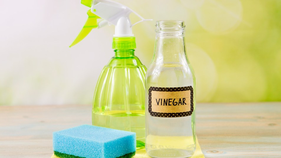 bottle of vinegar, a spray bottle and sponge: white vinegar uses