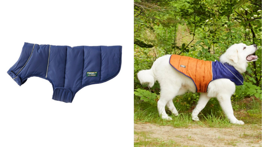 coats for dogs and cats