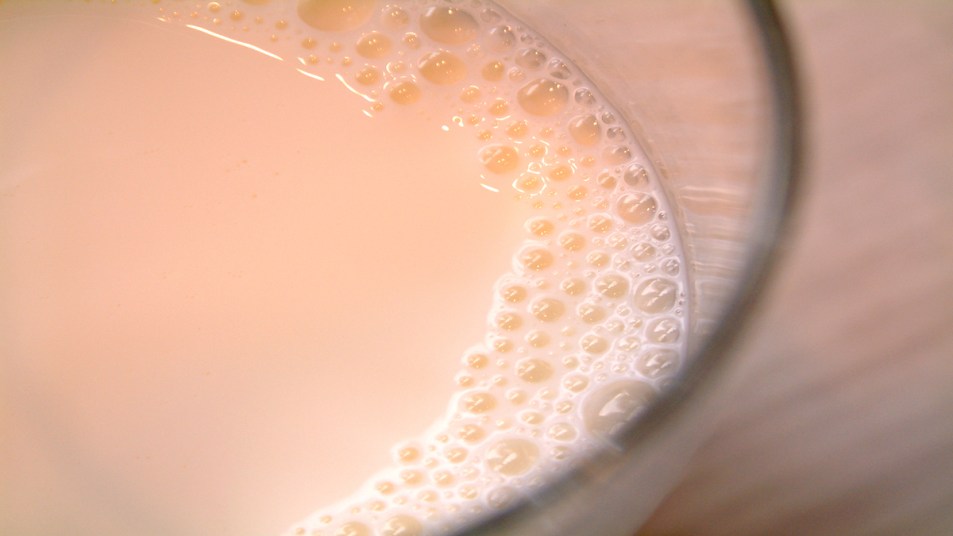 close up photo of milk