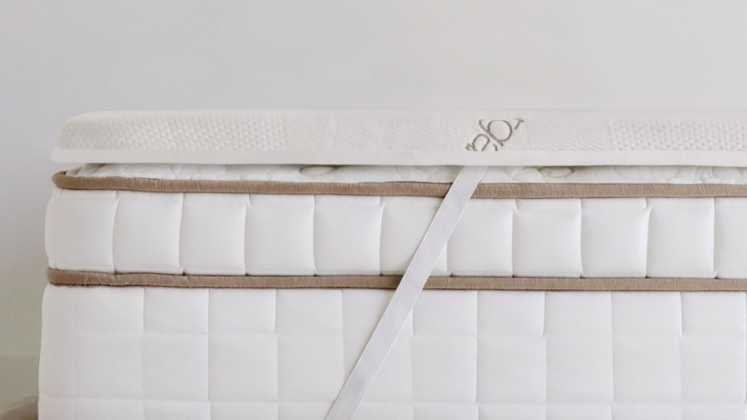 saatva mattress topper bed bugs