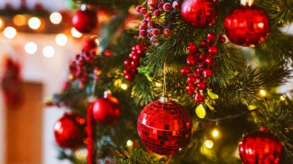 What Your Christmas Tree Says About You Story Image
