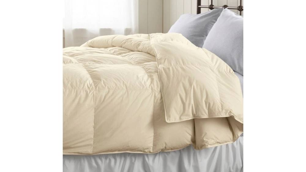 best winter comforters