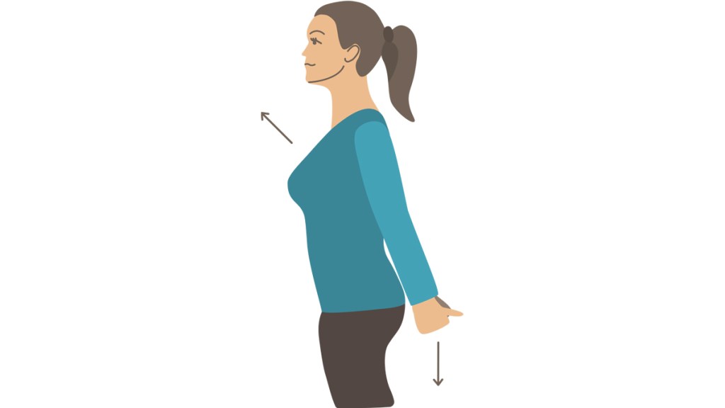 Illustration of neck stretches