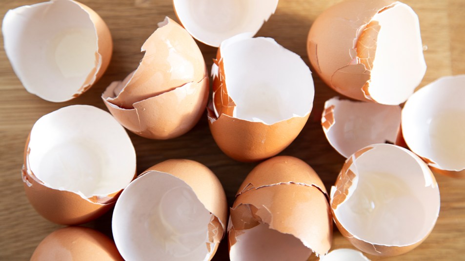 10 Brilliant Uses For Eggshells image