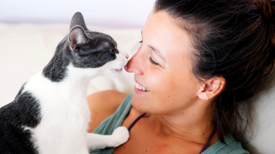 Cat licking woman's nose