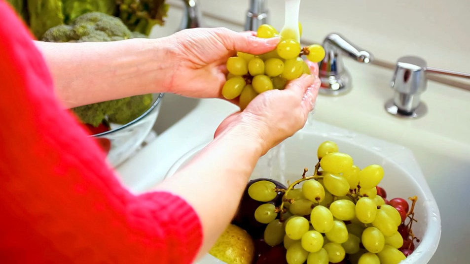 Woman's hands washing grapes in sink