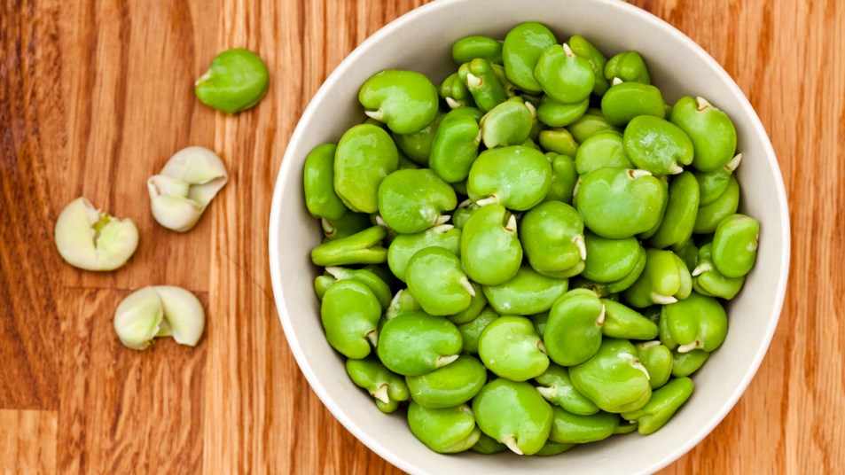 Bowl of bright green fava beans