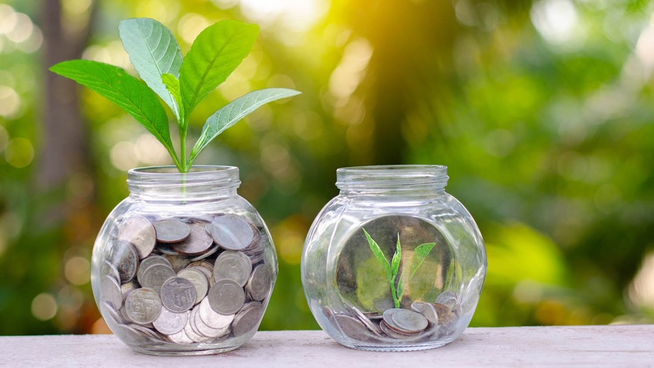 summer savings represented by coins in glass jars with seedlings sprouting