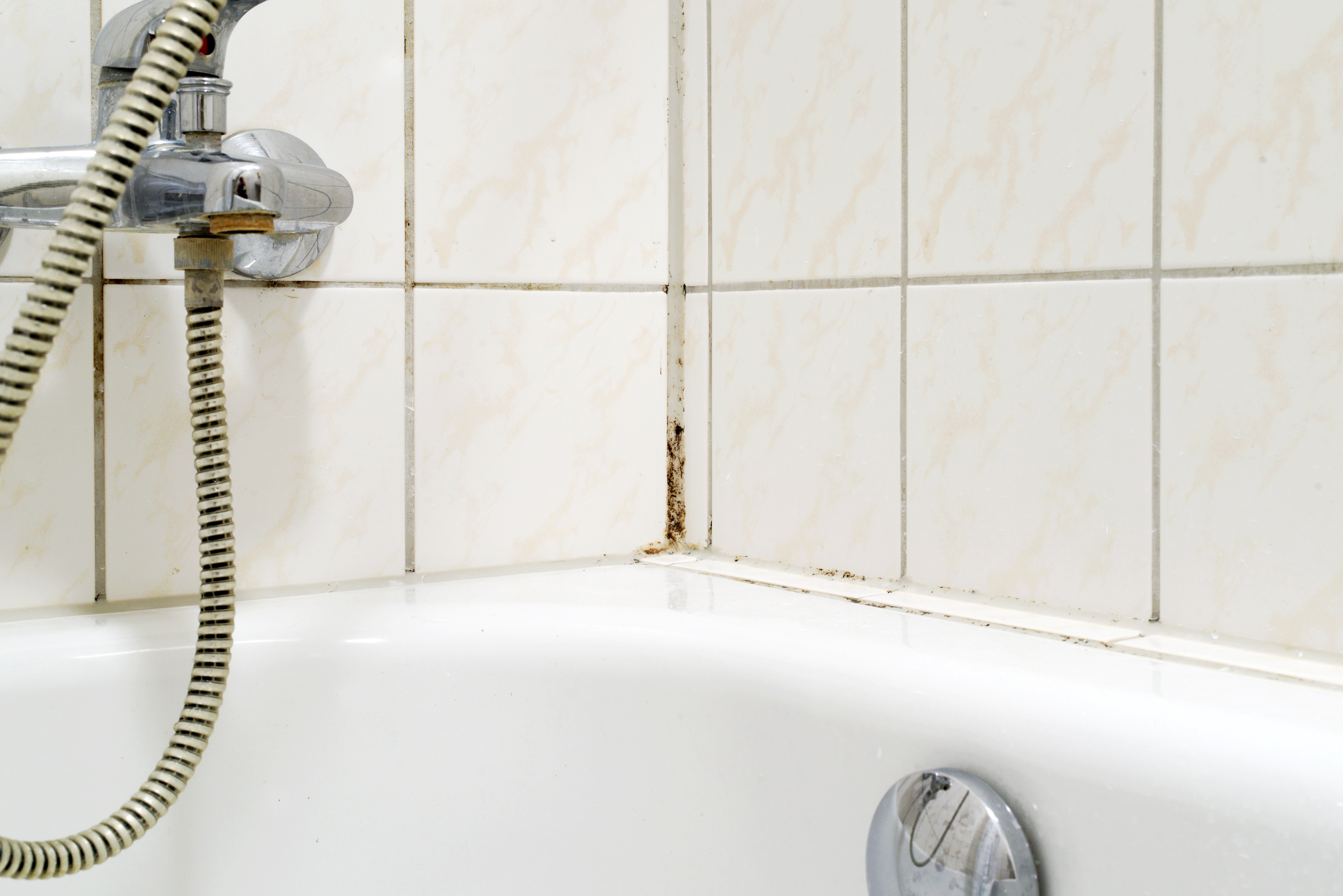 Remove Mold From Shower Corner Tiles, How To Remove Mildew From Bathtub