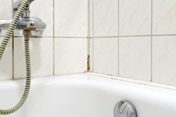 moldy shower corner tiles