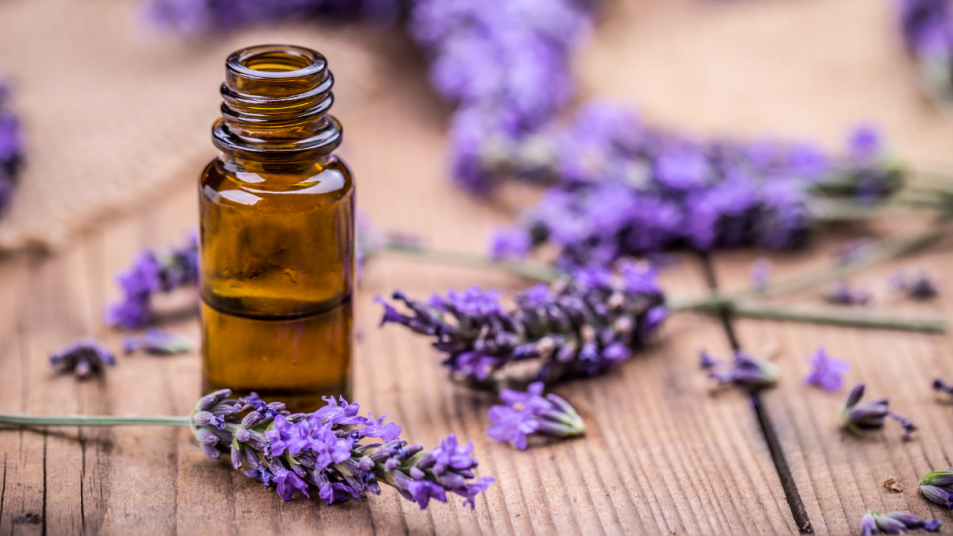 lavender-essential-oil-health-benefits