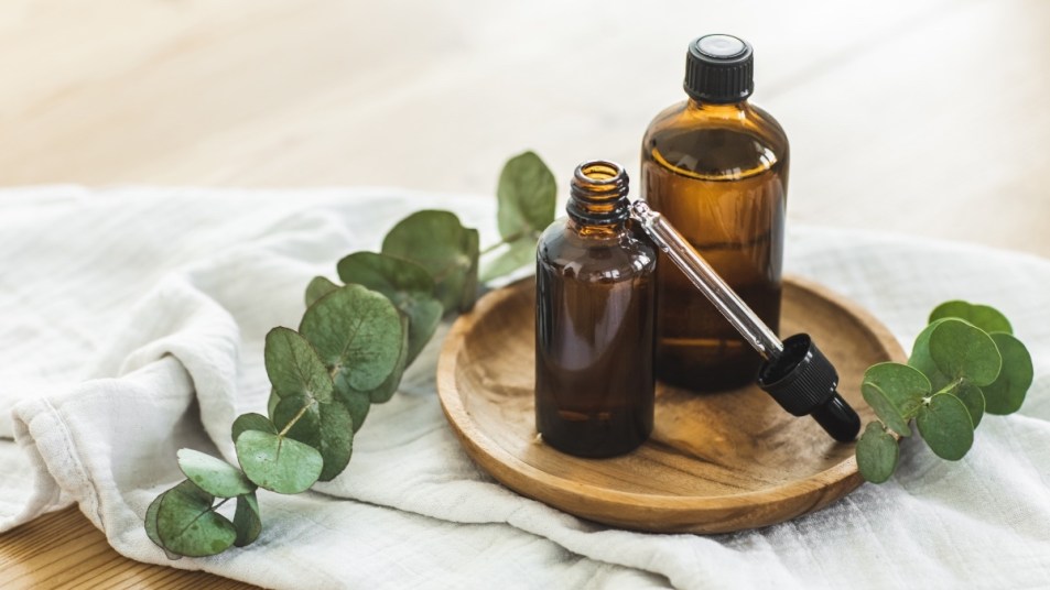 Eucalyptus essential oil in a dropper next to a sprig of the plant, which has many benefits including healing cold sores