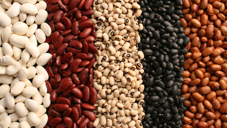 Assortment of dried beans_legumes