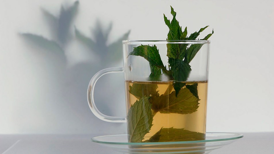 a cup of peppermint tea has plenty of health benefits