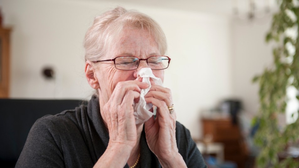 mature woman with glasses feeling sick, blowing her nose