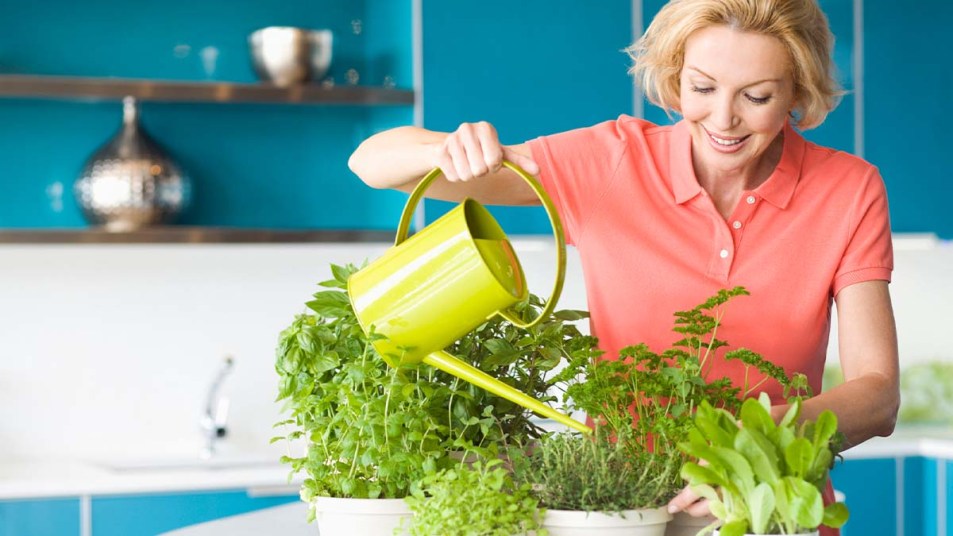 Woman caring for houseplants
