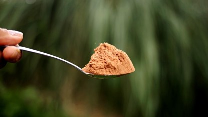 hand holding spoonful of cacao extract powder