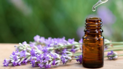 Bottle of lavender oil and lavender plants