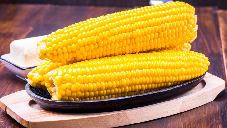 Cooked corn on the cob