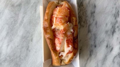 McLoons-Lobster-Roll-on-marble-surface-single