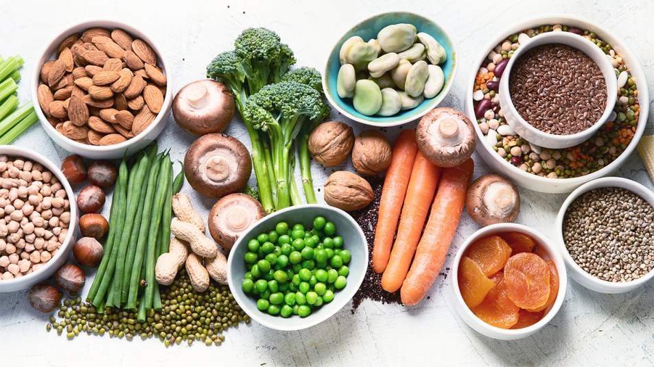 Plant-based protein foods